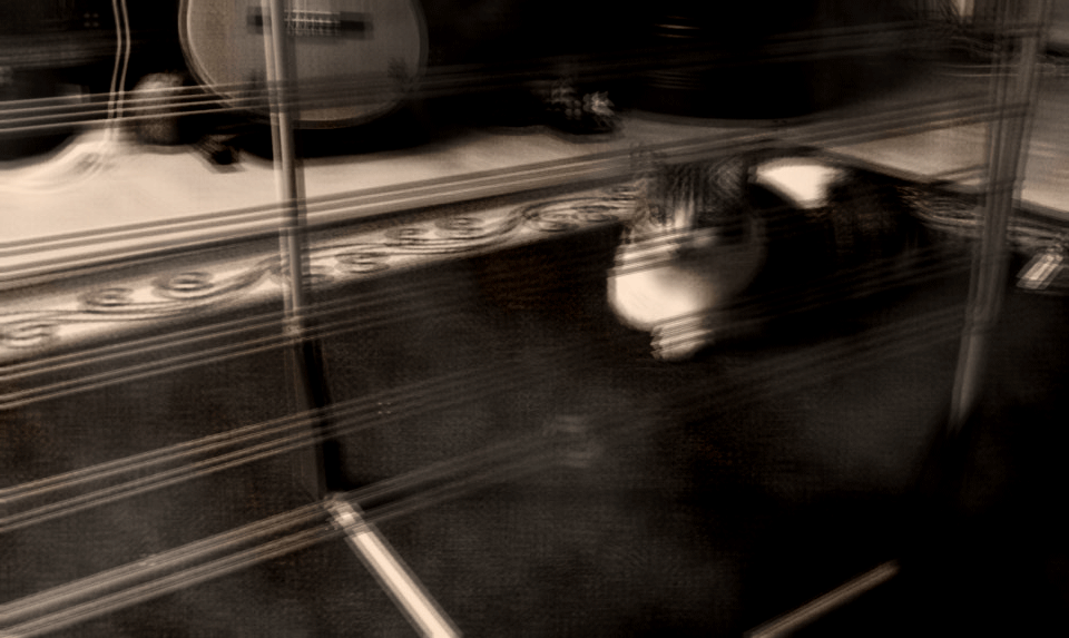 väärä-kissa-taustakuva